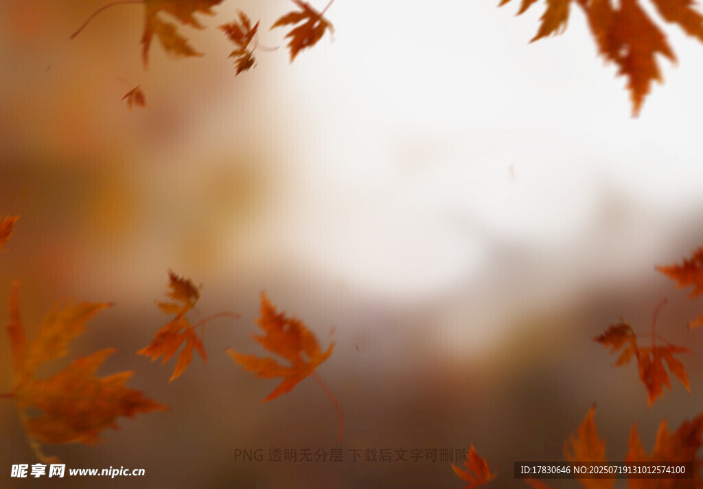 秋天虛化拍照前景