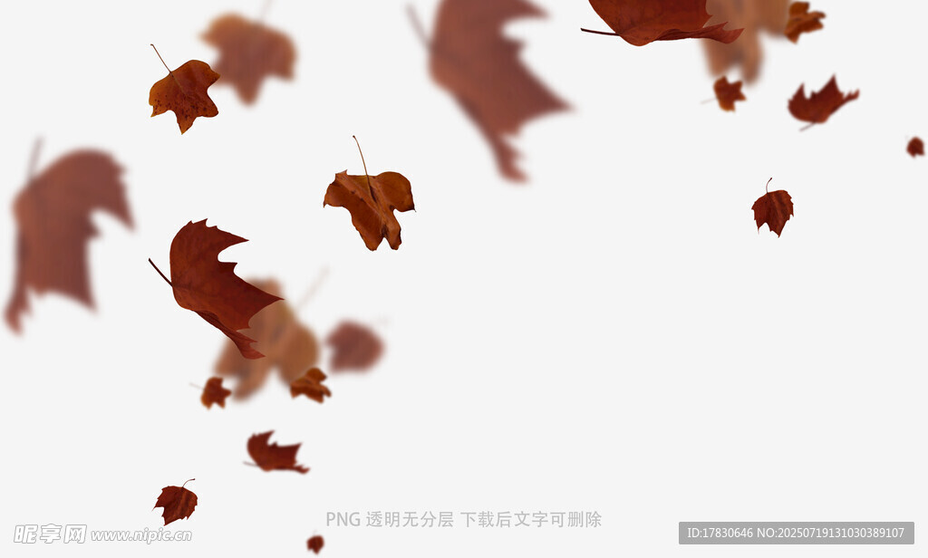 秋天虛化拍照前景