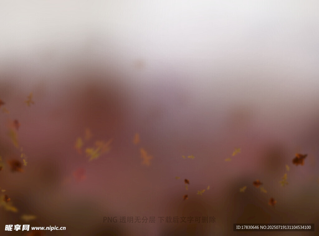 秋天虛化拍照前景