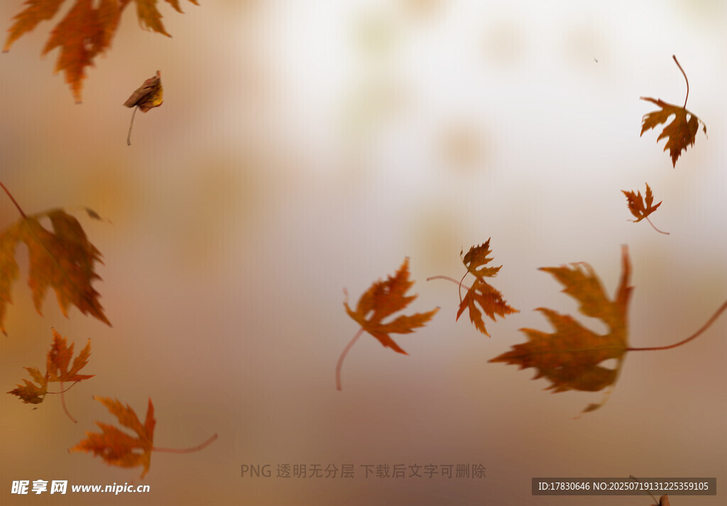 秋天虛化前景