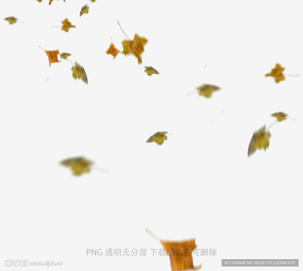 秋天虛化前景