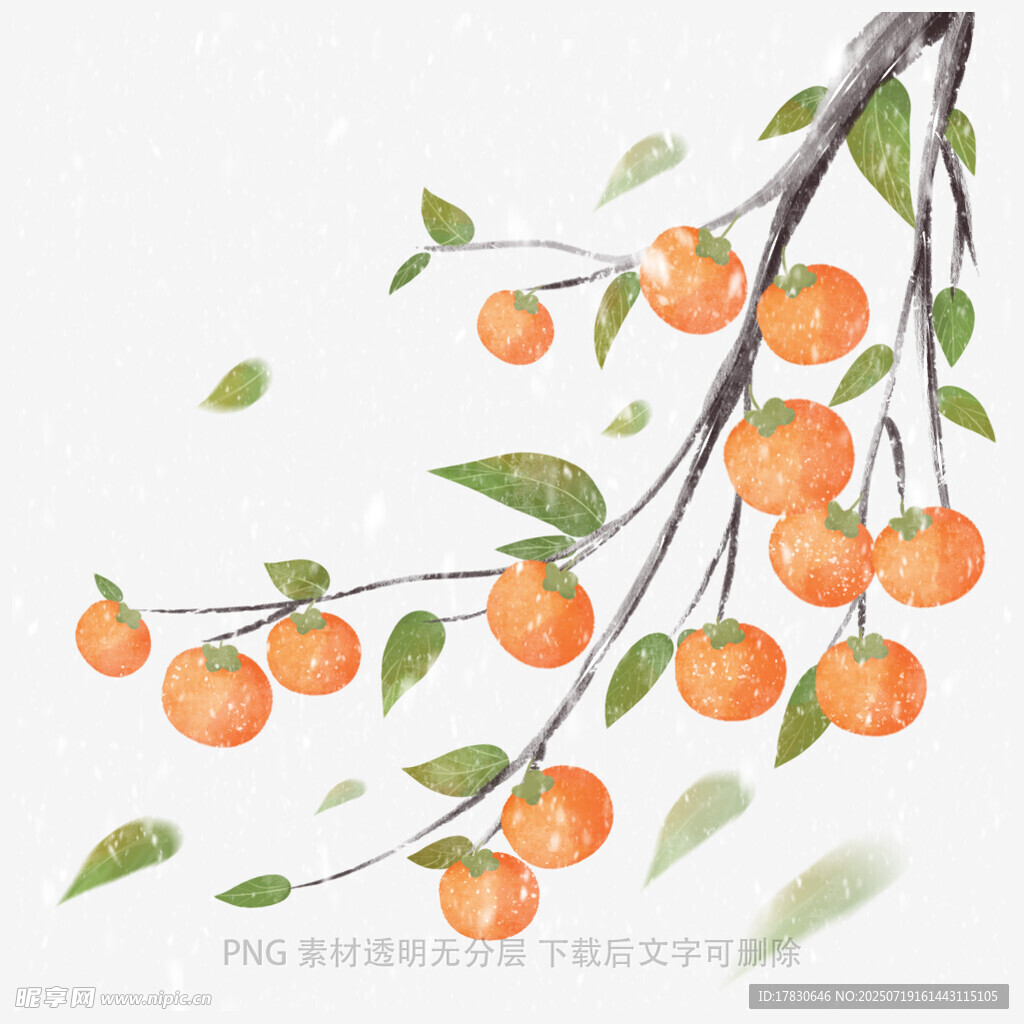 水墨風(fēng)枝頭累累橙果圖