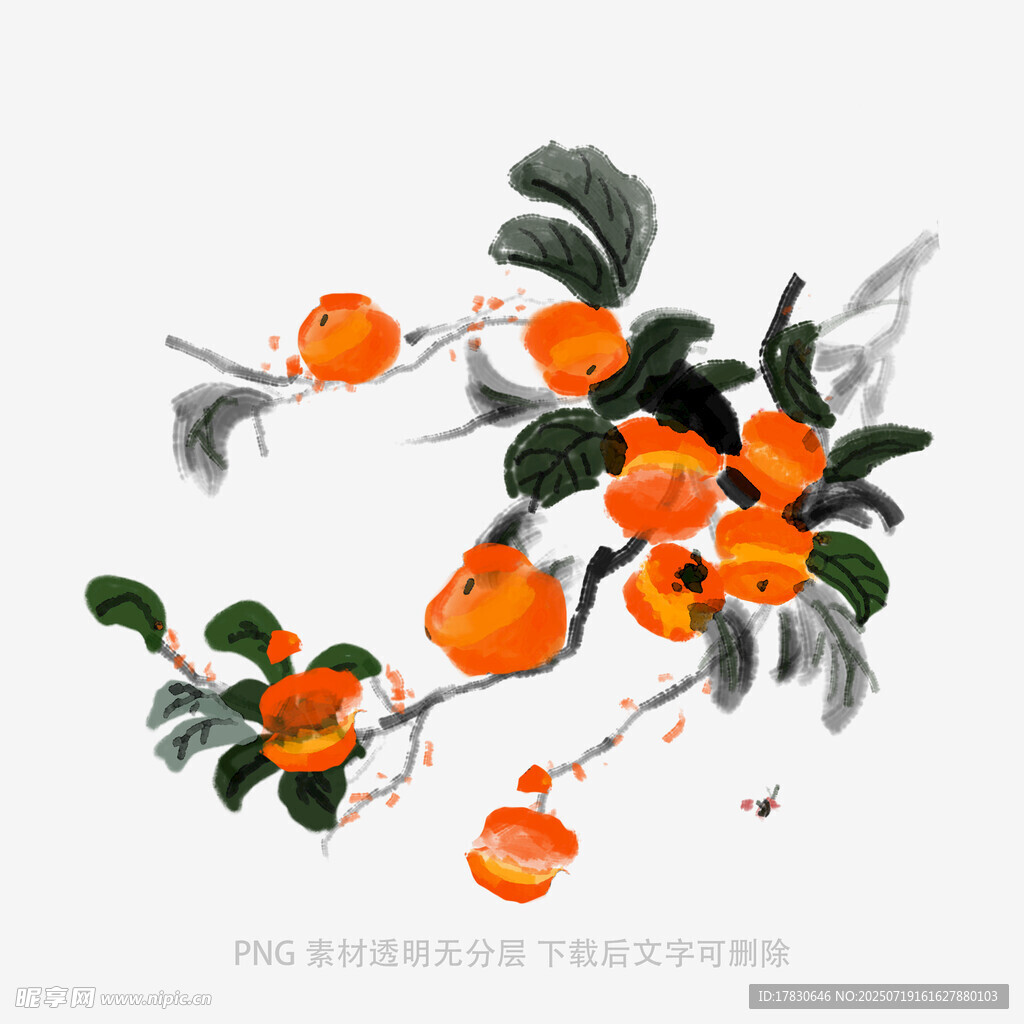 水墨風(fēng)枝頭橙果圖