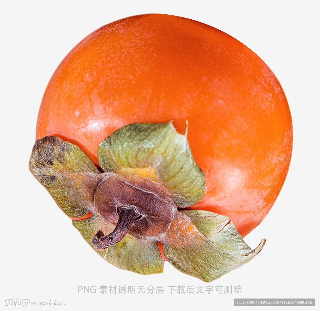 圓潤飽滿的新鮮柿子