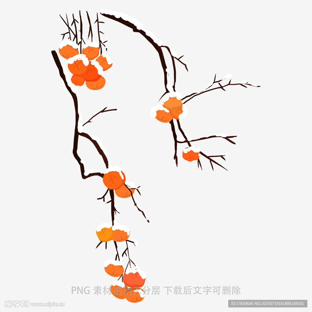 水墨風(fēng)橙花樹枝插畫