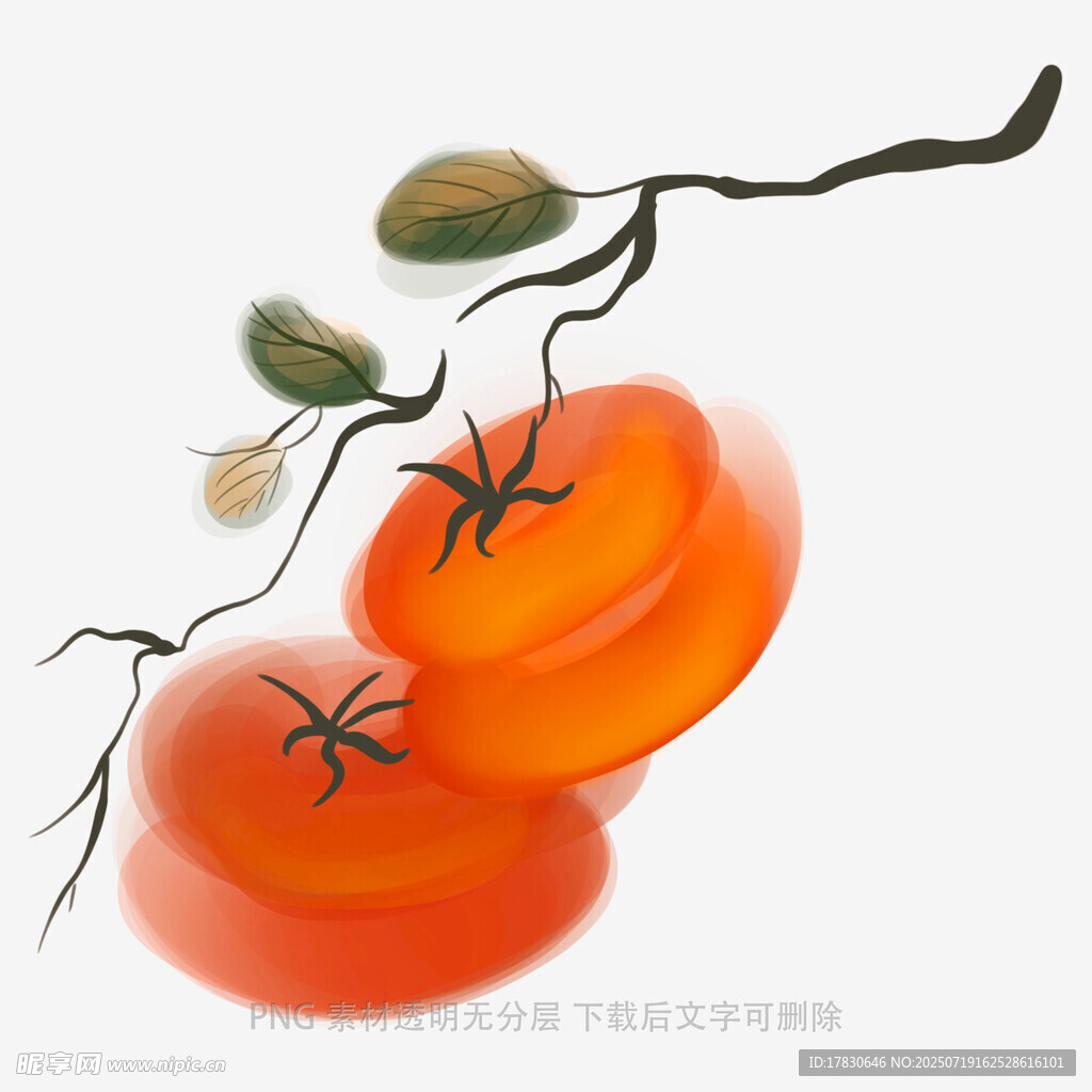 水墨風雙番茄枝頭圖