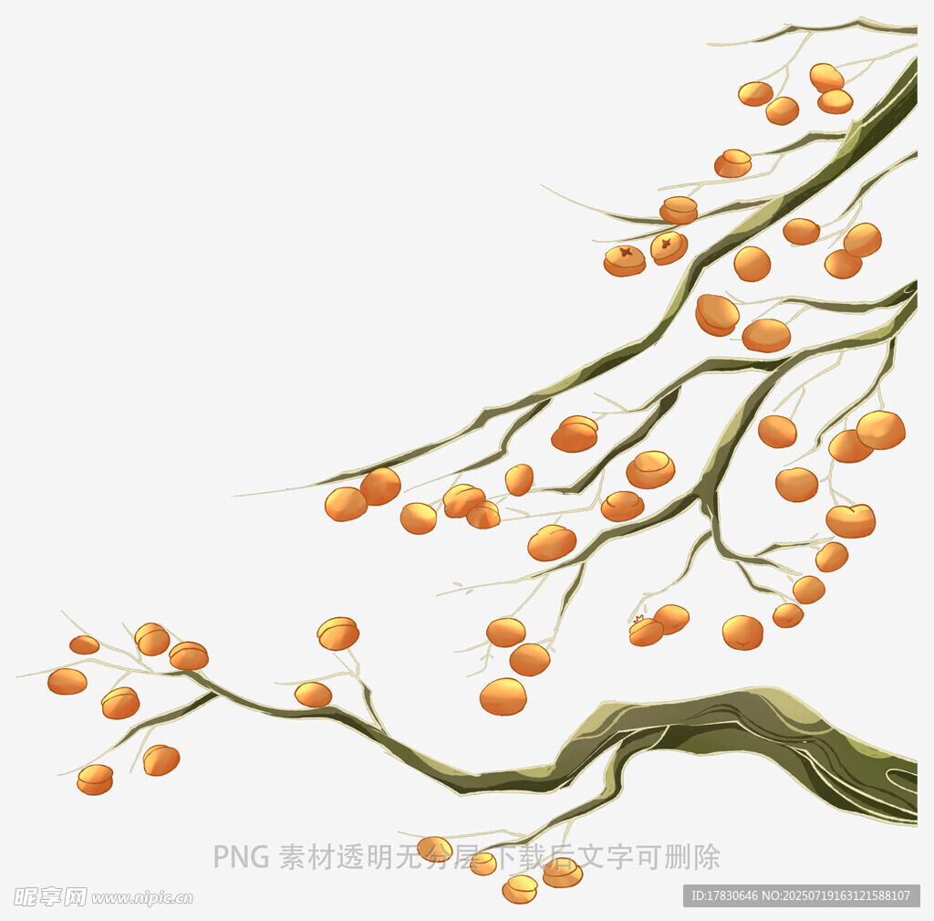 水墨風(fēng)枝頭橙果圖