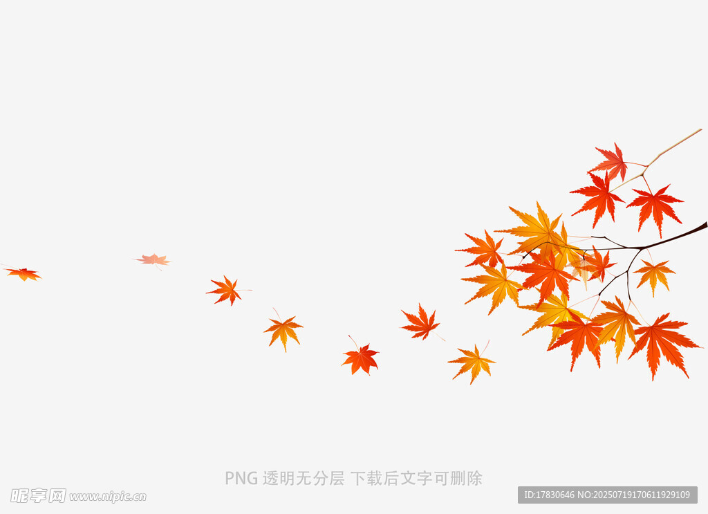 楓葉