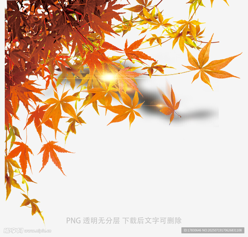 秋日楓葉美景