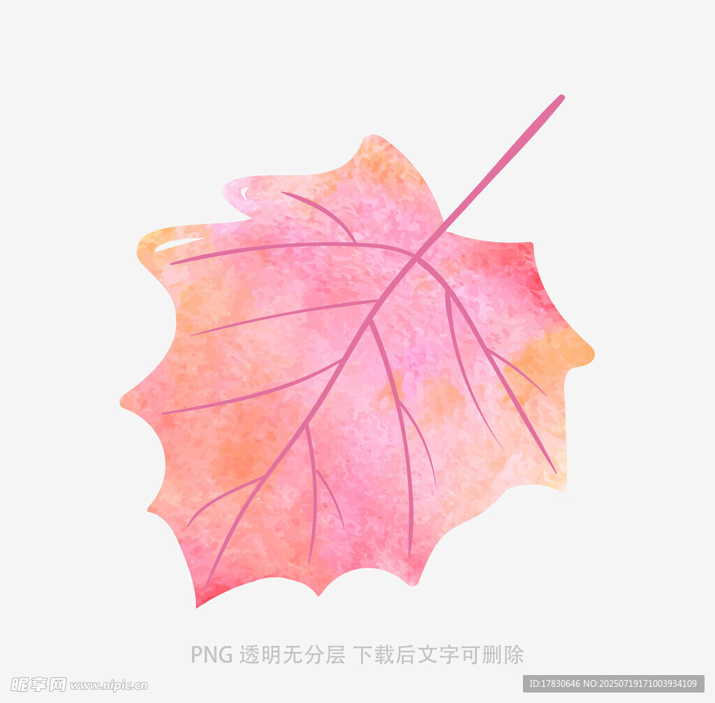 楓葉