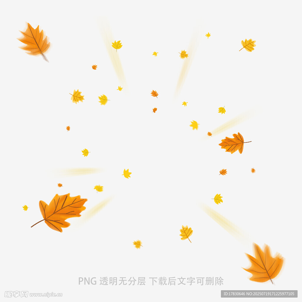 飄落的金黃楓葉元素