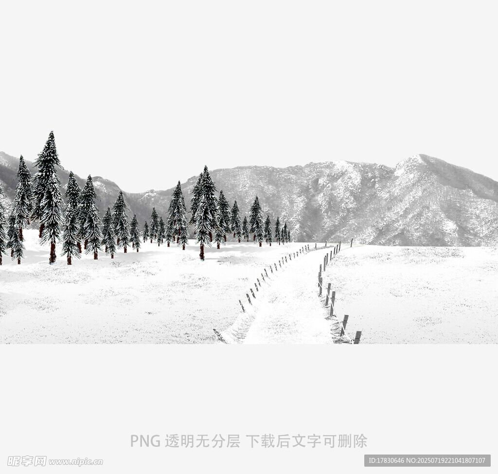 冬日雪野中的靜謐林間小道