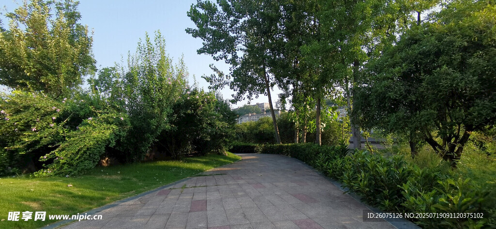 城市公園入口幽靜小路