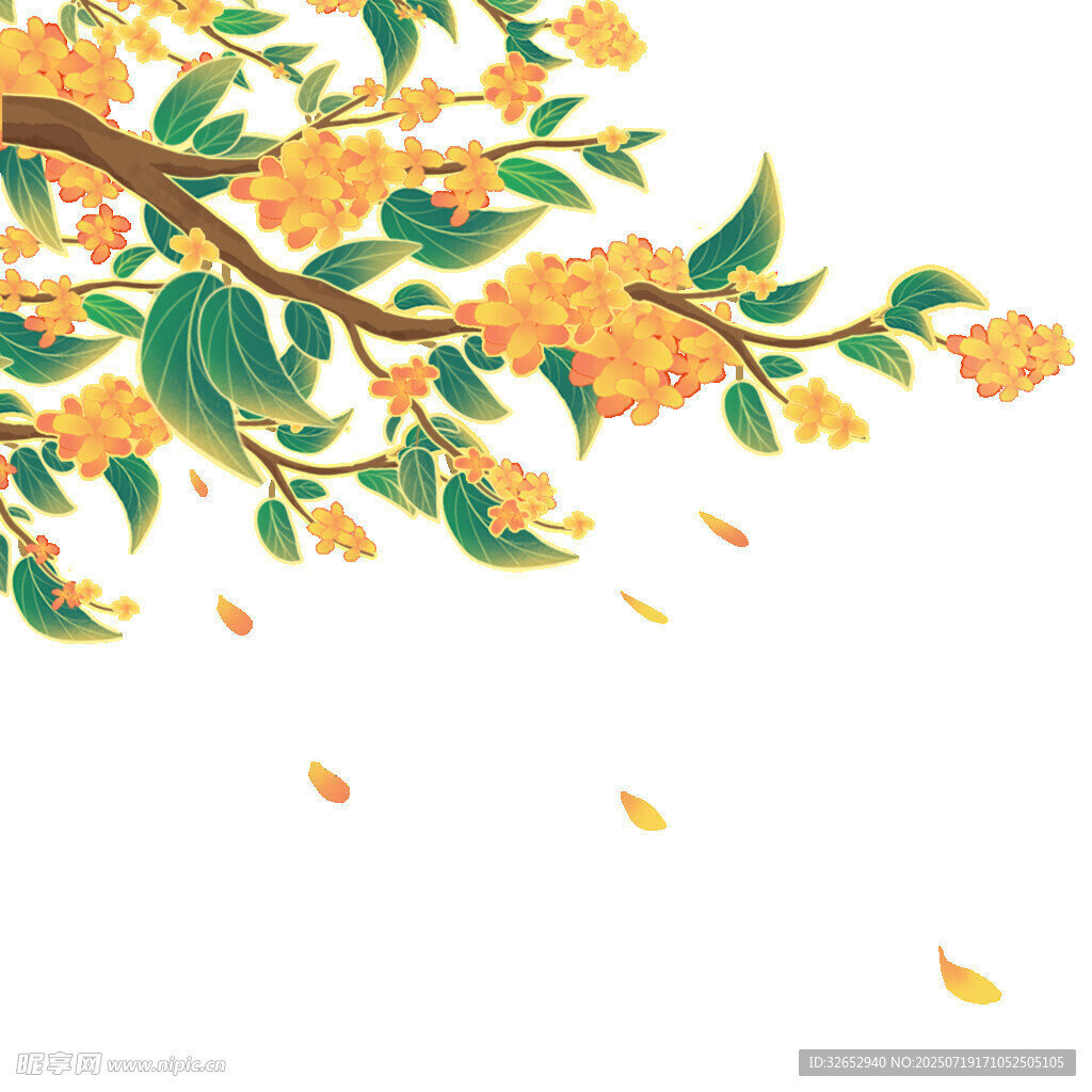 枝頭桂花飄香花瓣紛飛