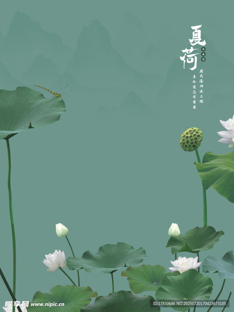 夏荷拍照模板