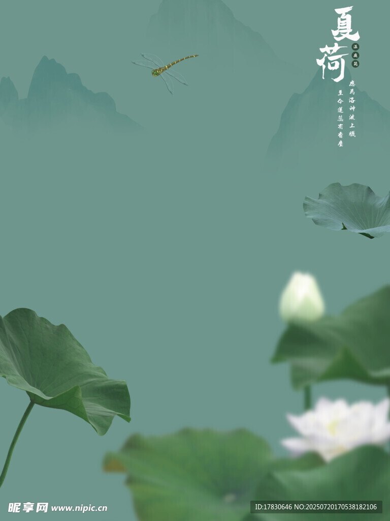 夏荷拍照模板