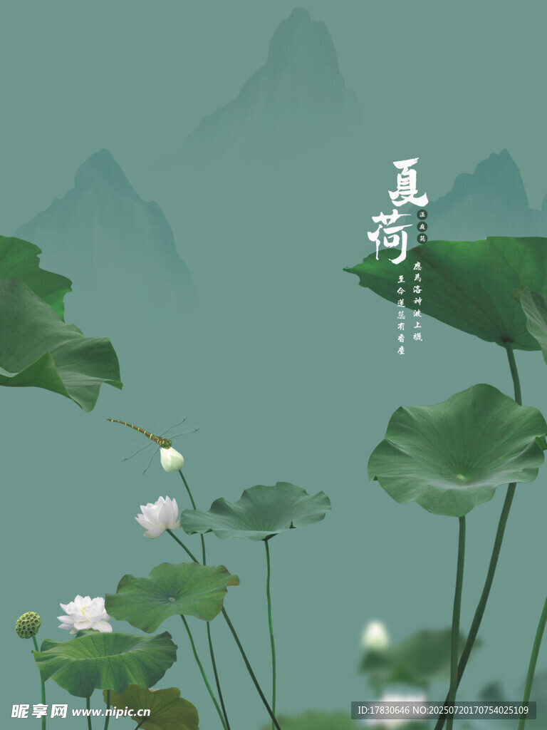 夏荷拍照模板