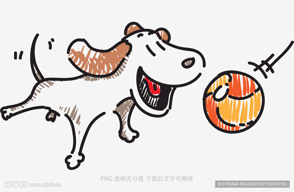 小狗歡快追逐橙色球