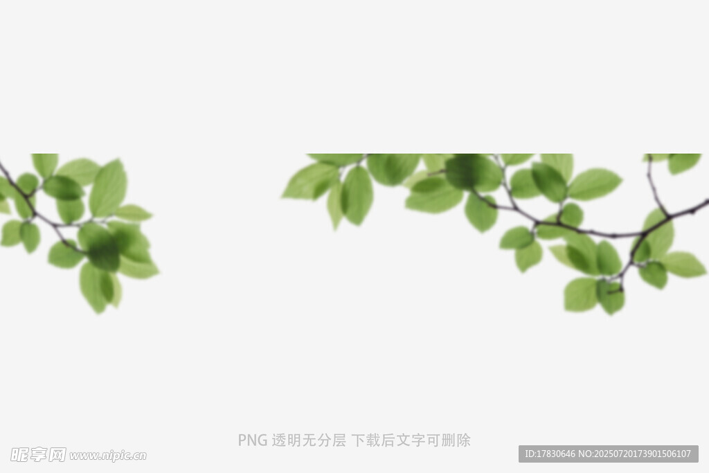 樹葉虛化前景