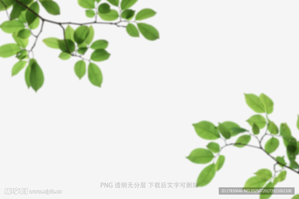 樹(shù)葉虛化前景