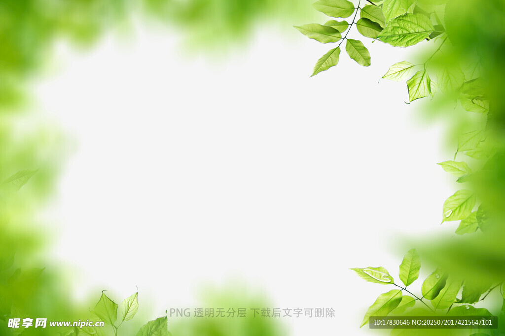 樹葉虛化前景