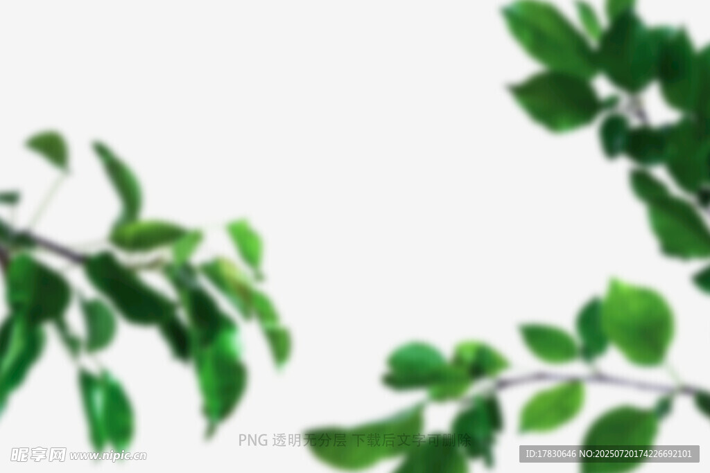 樹葉虛化前景