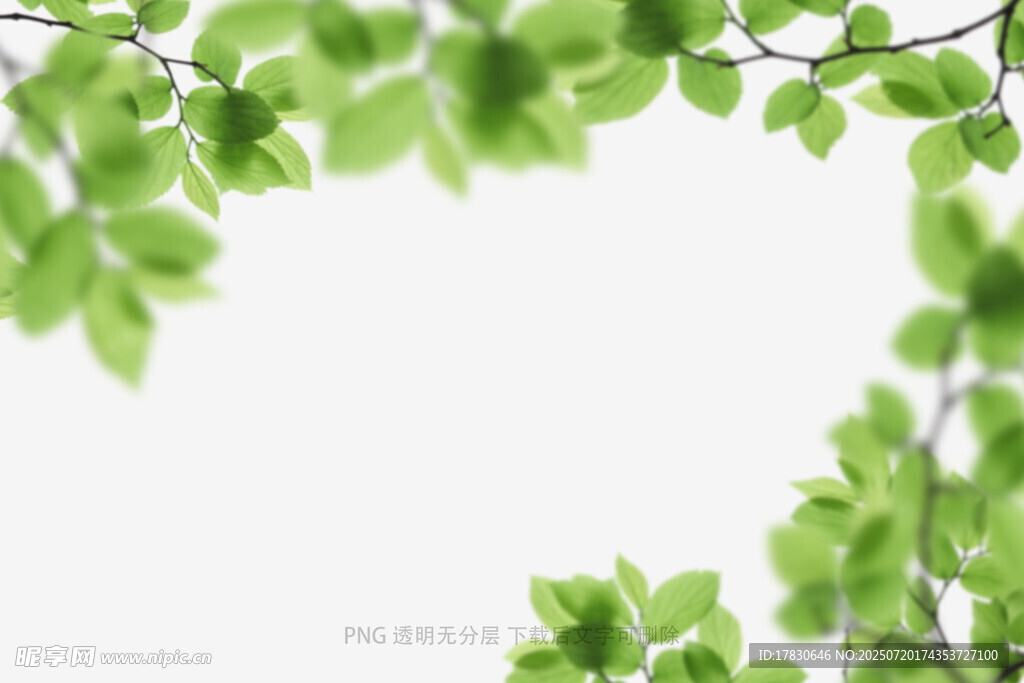 樹葉虛化前景