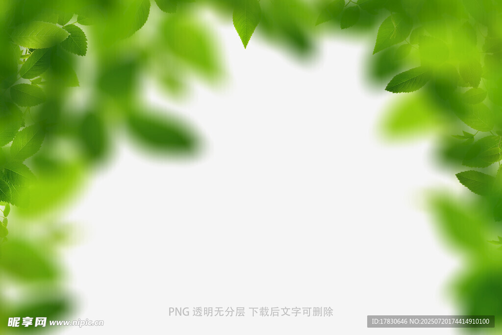 樹(shù)葉虛化前景