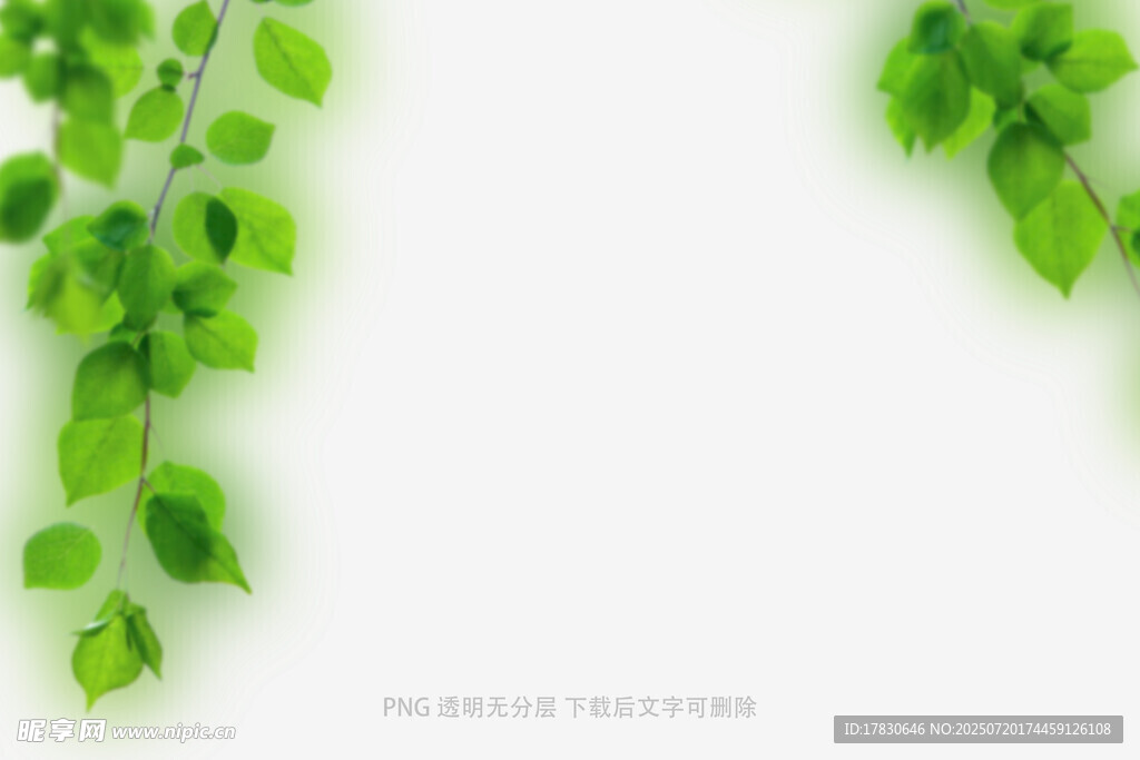 樹(shù)葉虛化前景