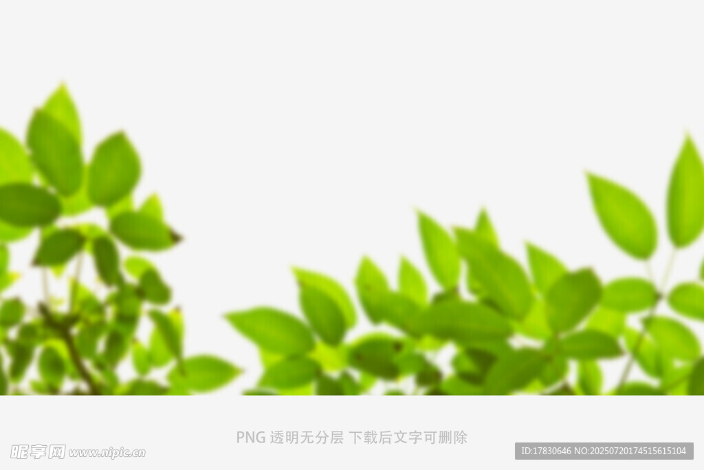 樹葉虛化前景