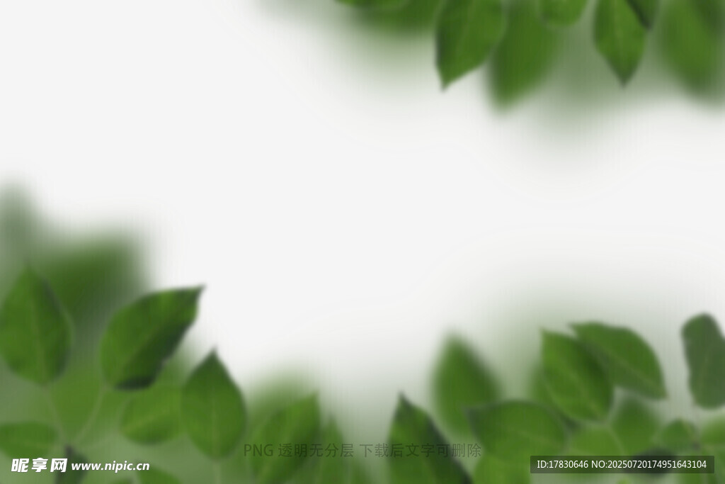 樹葉虛化前景