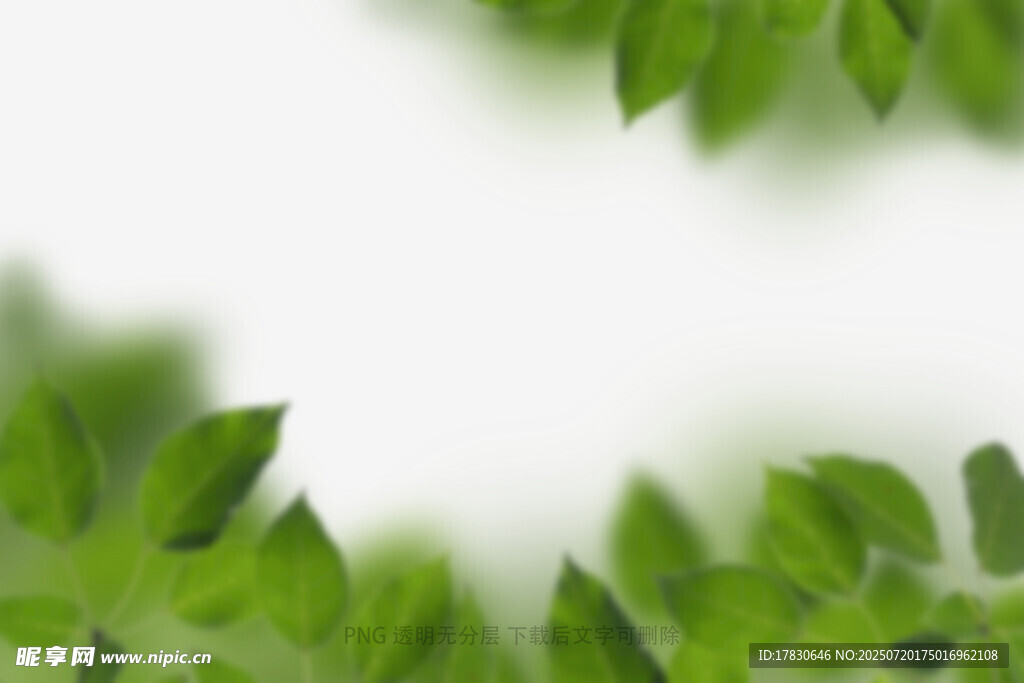 樹葉虛化前景