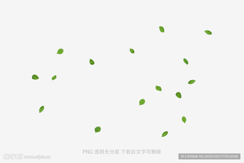 樹葉掉落素材