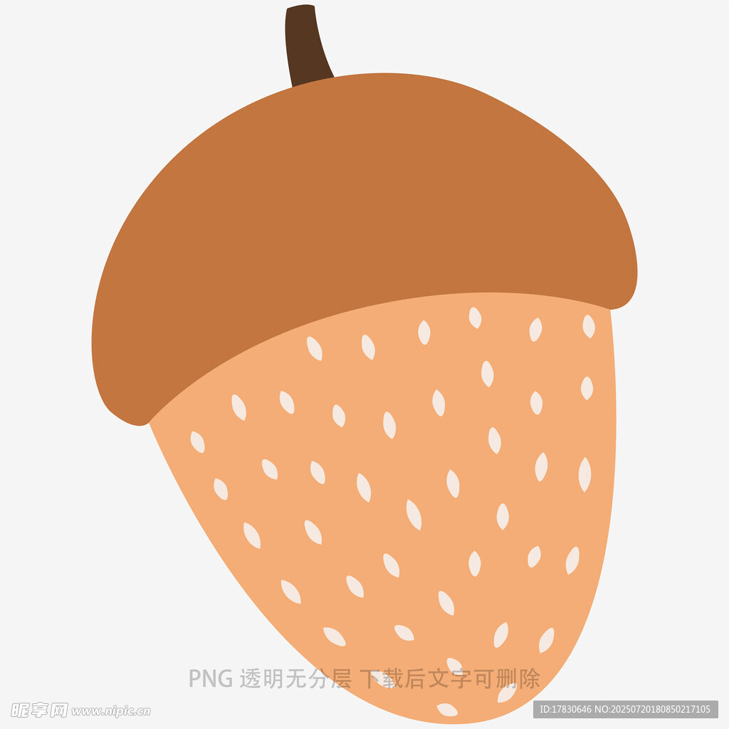 卡通風(fēng)格橡果插畫