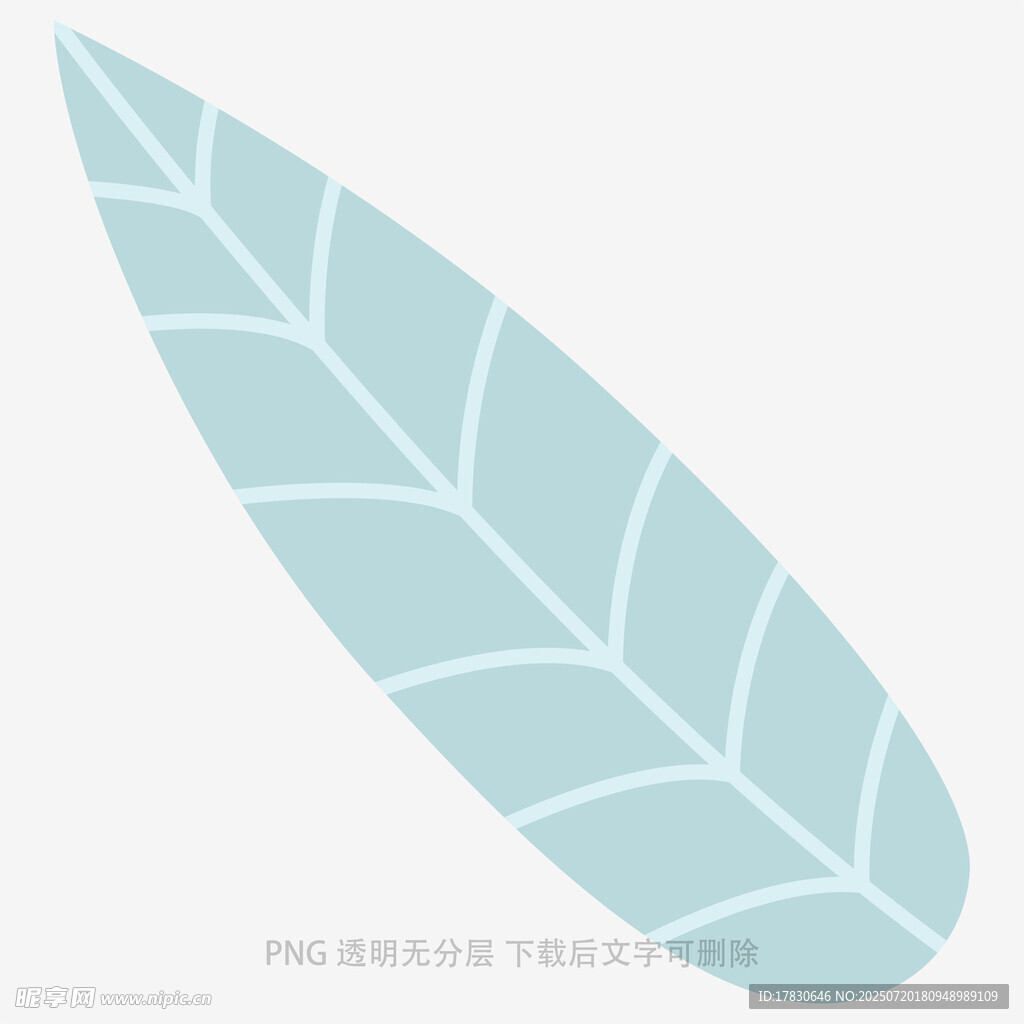 淺藍(lán)色葉脈圖案葉片
