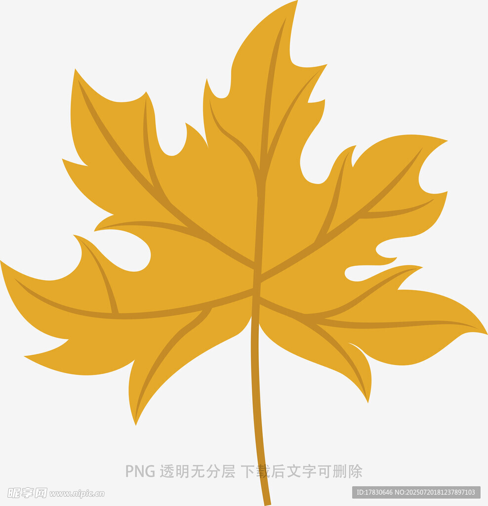 黃色楓葉插畫