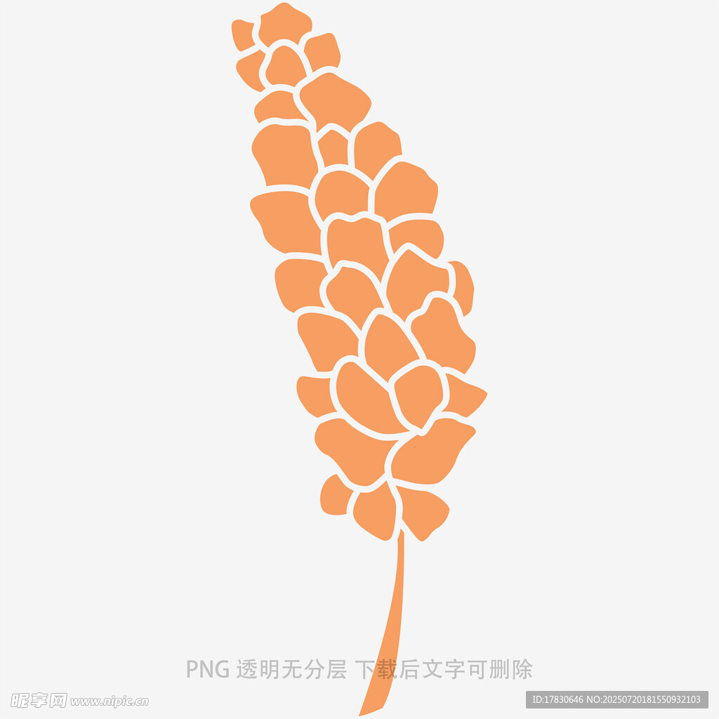橙色麥穗圖案設(shè)計元素