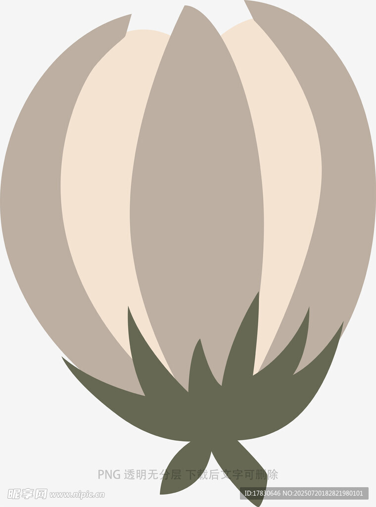 簡約棉花圖案設(shè)計(jì)