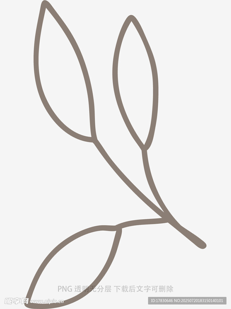 簡約線條植物枝葉圖案