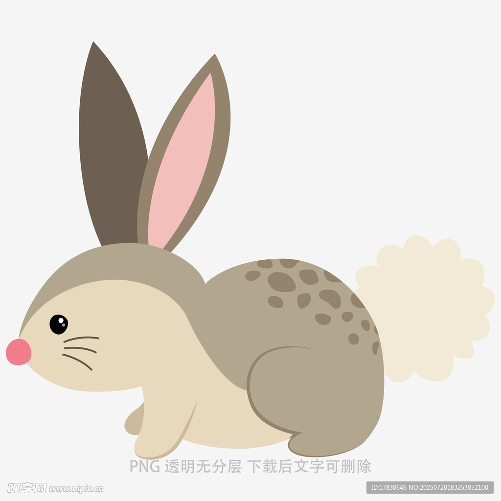 可愛小兔子插畫