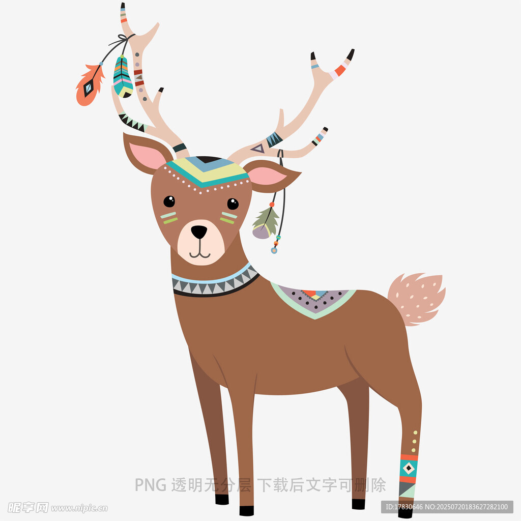 卡通風(fēng)格橡果插畫