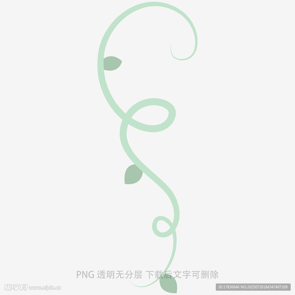 簡(jiǎn)約藤蔓圖案設(shè)計(jì)元素