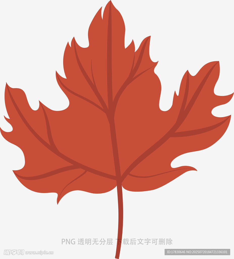 紅色楓葉插畫