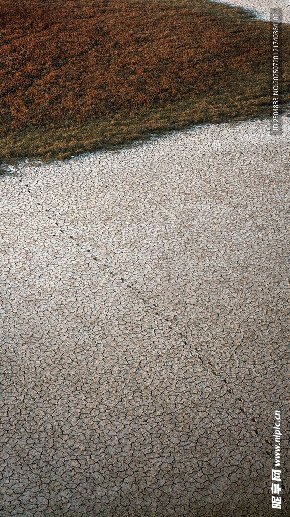 路面與草地的交界場(chǎng)景
