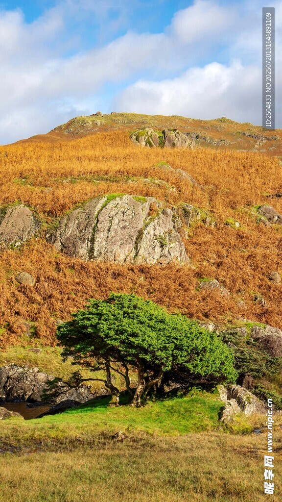 秋日山間綠意點(diǎn)綴的美景