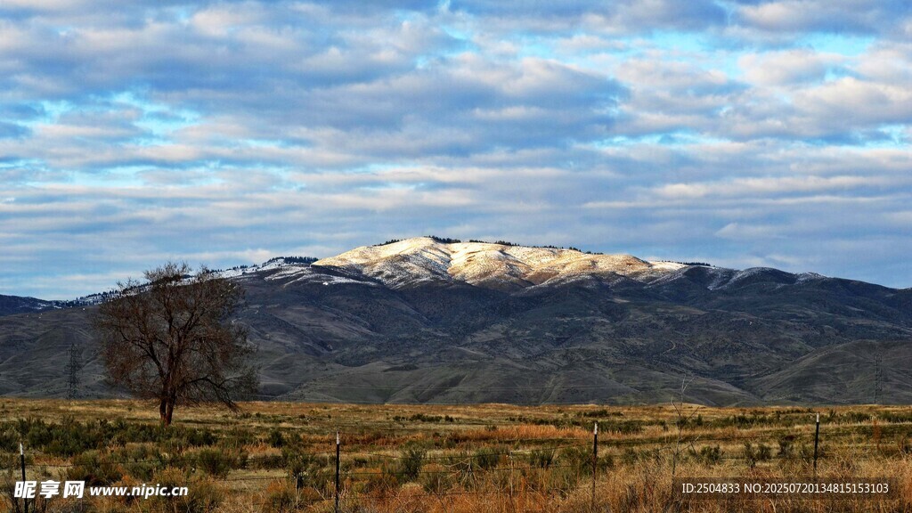 雪山遠(yuǎn)景與孤樹