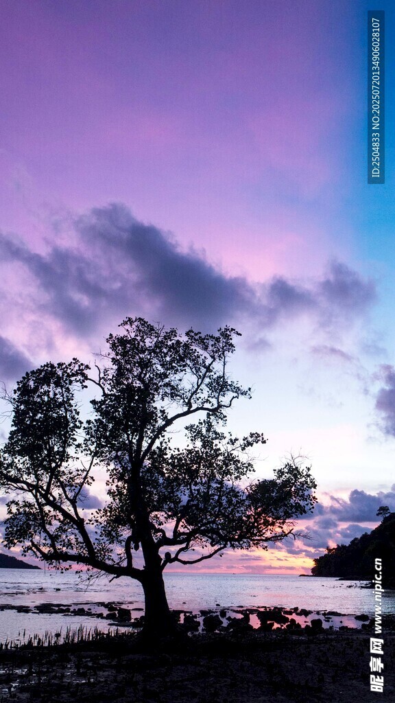 黃昏湖畔孤樹(shù)美景