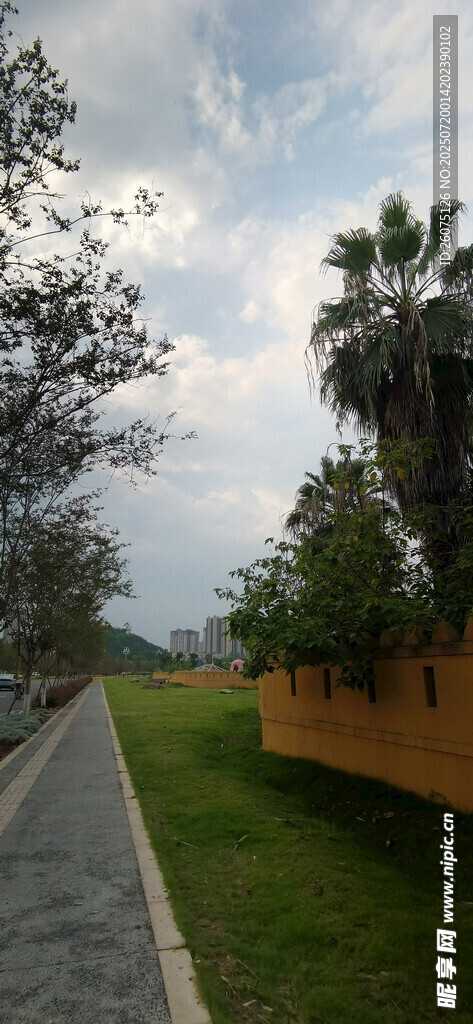 戶外林蔭小道風(fēng)景