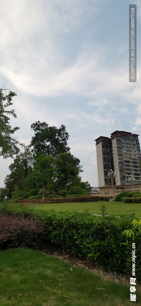 城市綠地旁的高樓景觀