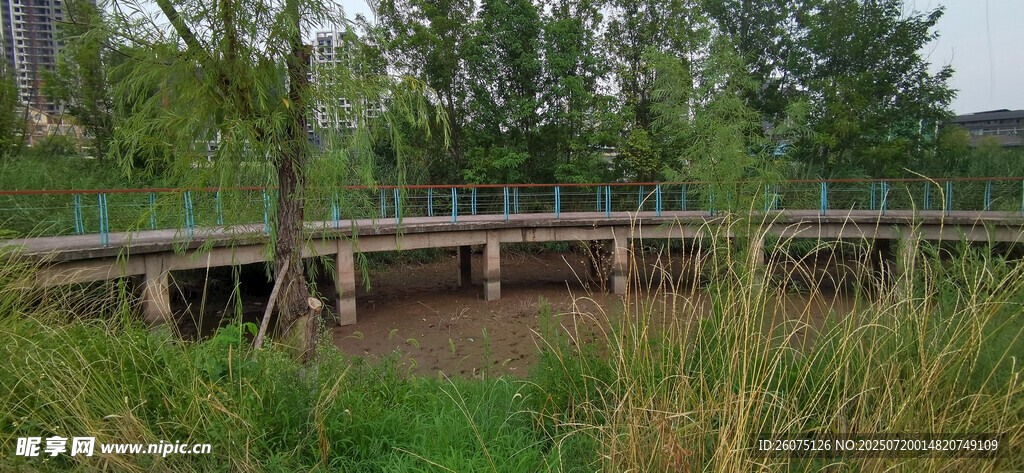 河畔木橋
